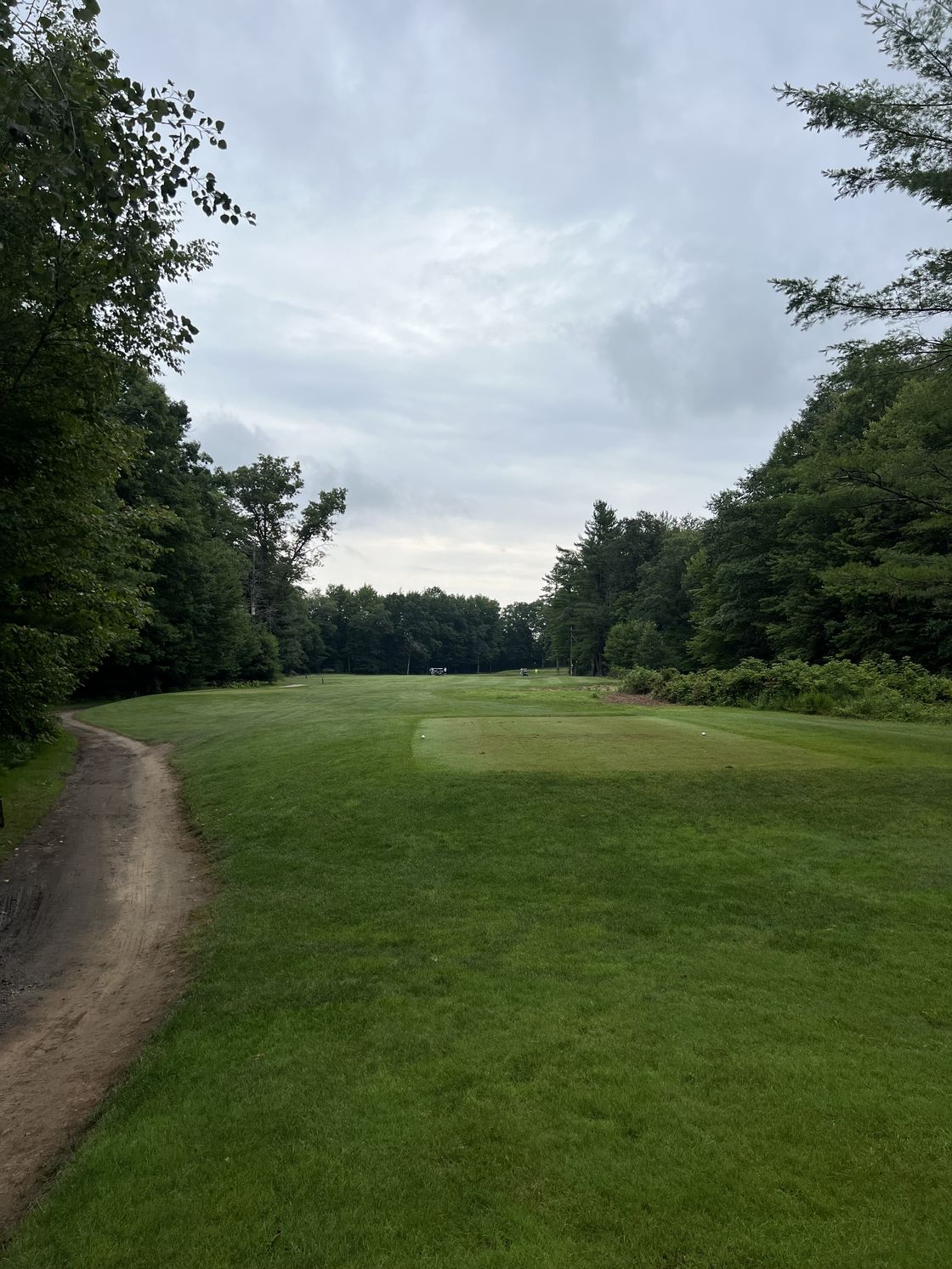 A Blackshire tee box with the fairway running out between tree lines