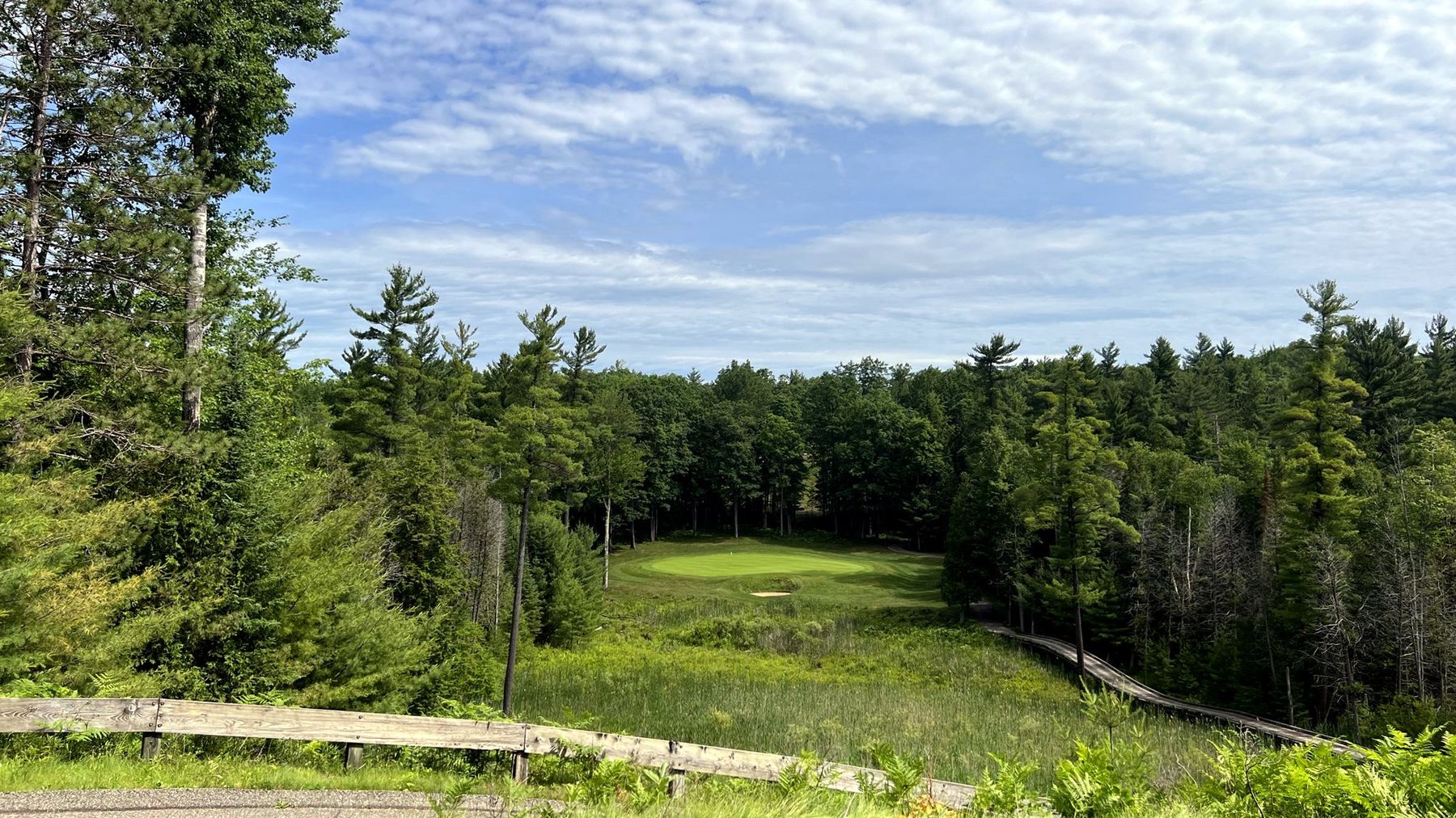 Red Hawk's third hole in East Tawas, a par 3 played over wetland to a green cut from the pines