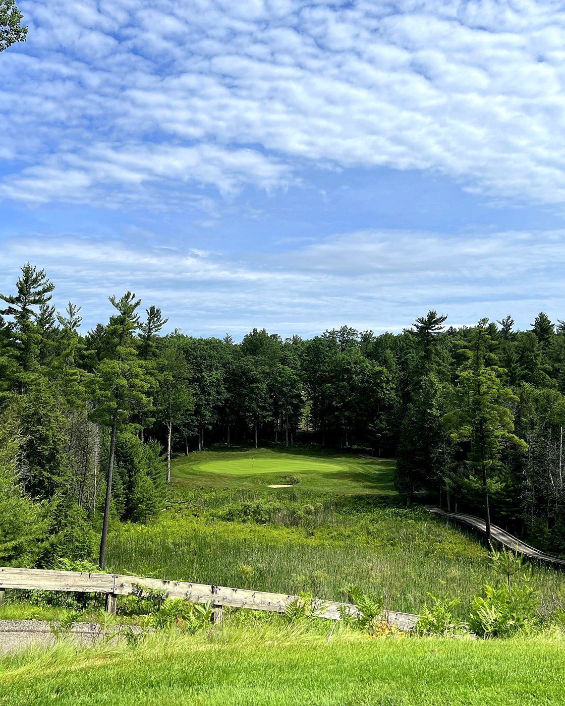 Red Hawk's signature par 3, hole 3, played over wetland to a green cut from the pines